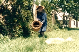 1980 Imker P. Milleschitz 86MP