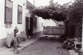 1986 Th.Wöhrer Samek 86WS