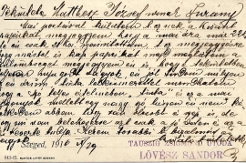 1916 Tauszig Sigmund b 24R